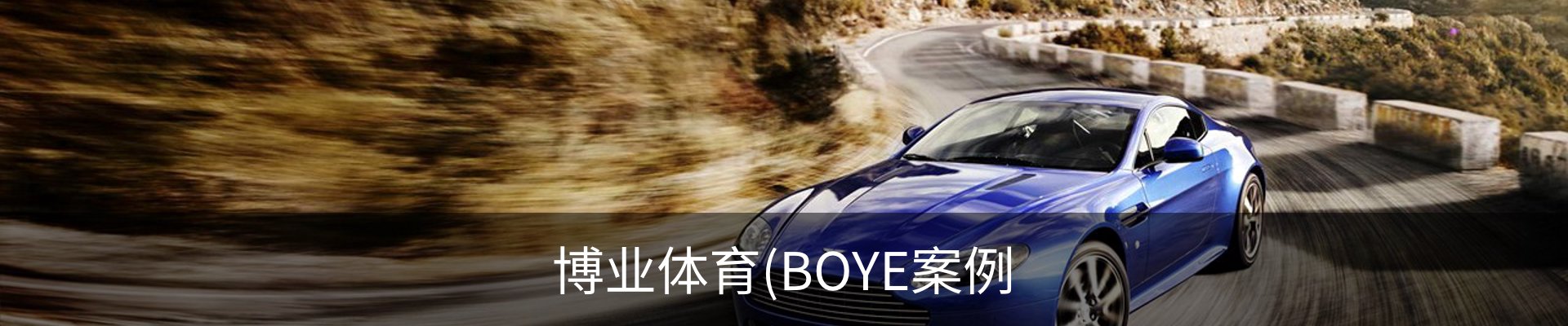博业体育(BOYE案例